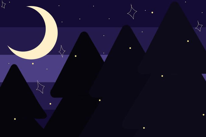 Nightforestgender is a gender where you feel connected to forests at night.
