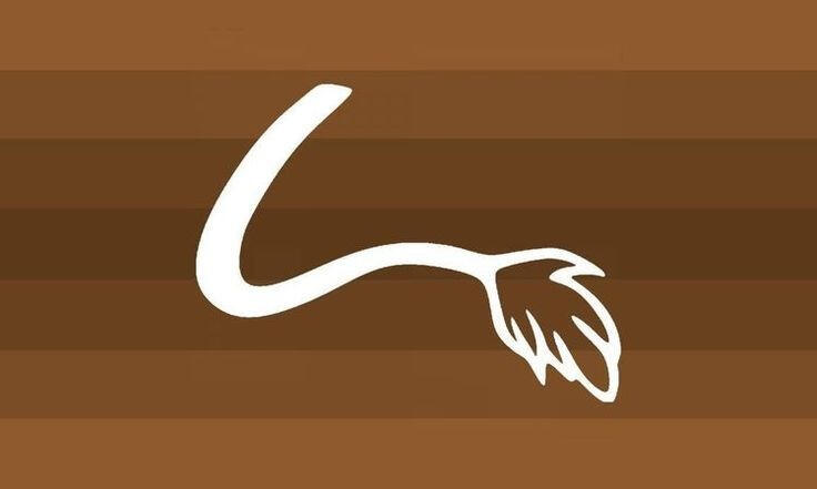 Tailic is when you feel euphoric from the idea of having a tail(s).