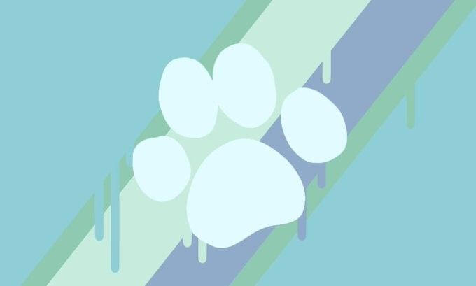 Rainypupgender is a gender related to puppies and rain.