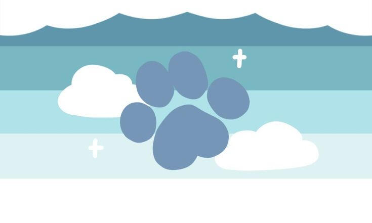Cloudpupgender is a gender related to puppies and clouds.