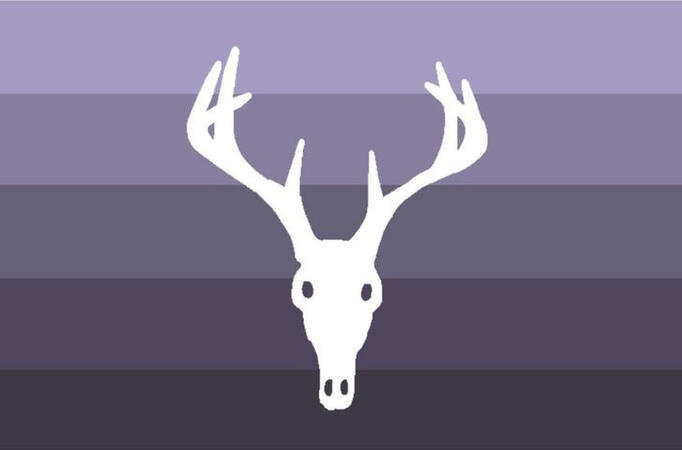 Cryptidcoric is a gender relating to the aesthetic of cryptids.